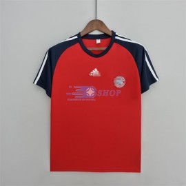 Camiseta de Entrenamiento Bayern Múnich 2022/2023 Rojo/Azul