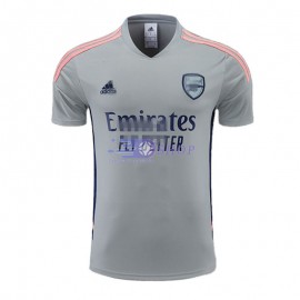 Camiseta de Entrenamiento Arsenal 2022/2023 Gris