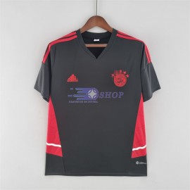 Camiseta de Entrenamiento Bayern Múnich 2022/2023 Negro/Rojo